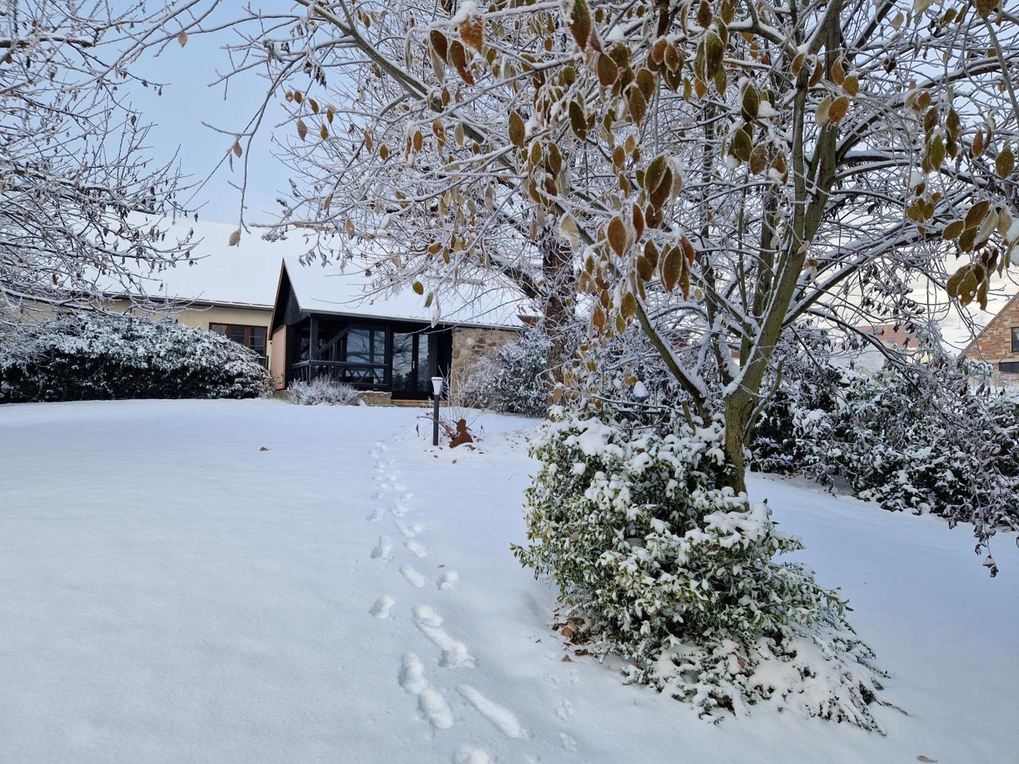 Le Breit Maison De Charme Avec Sa Dependance Breitenbach Exteriör bild