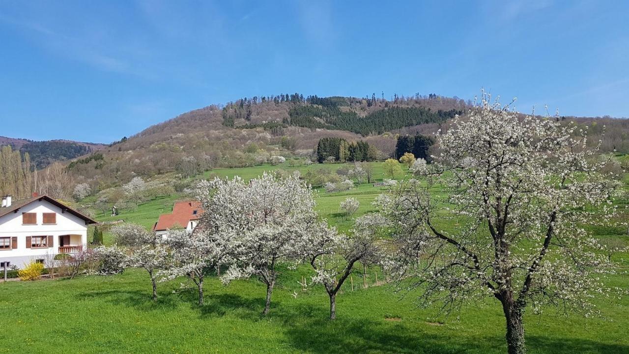 Le Breit Maison De Charme Avec Sa Dependance Breitenbach Exteriör bild