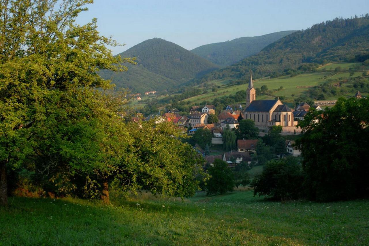 Le Breit Maison De Charme Avec Sa Dependance Breitenbach Exteriör bild